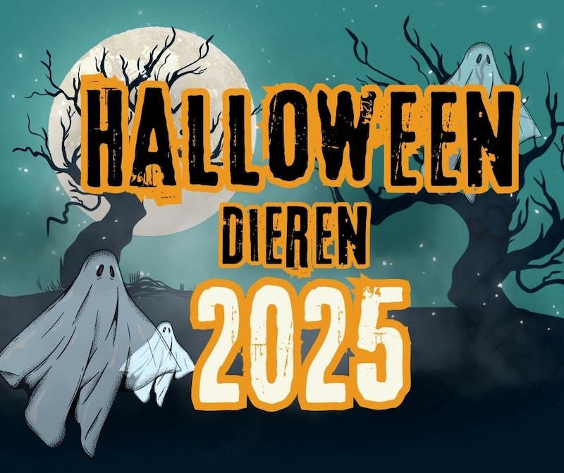 De voorbereidingen voor Halloween Dieren 2025 zijn begonnen! 👻